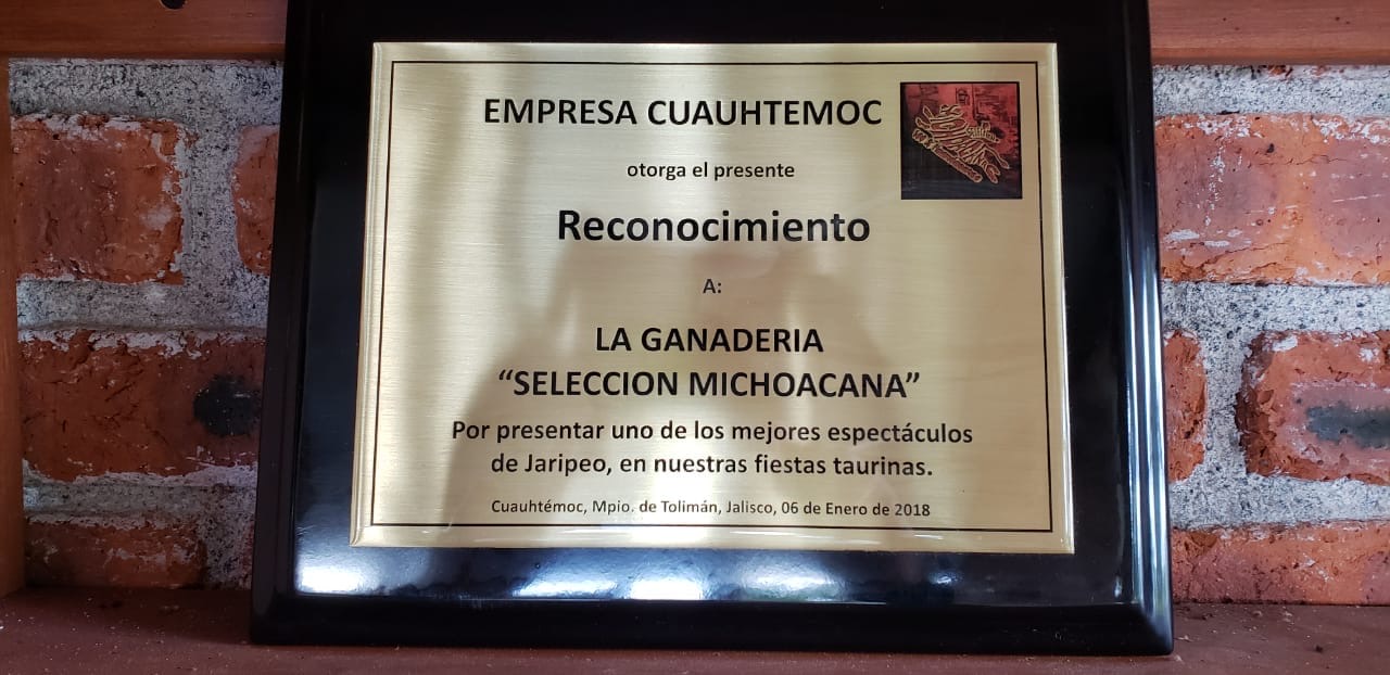 Reconocimiento 2018: placa o trofeo