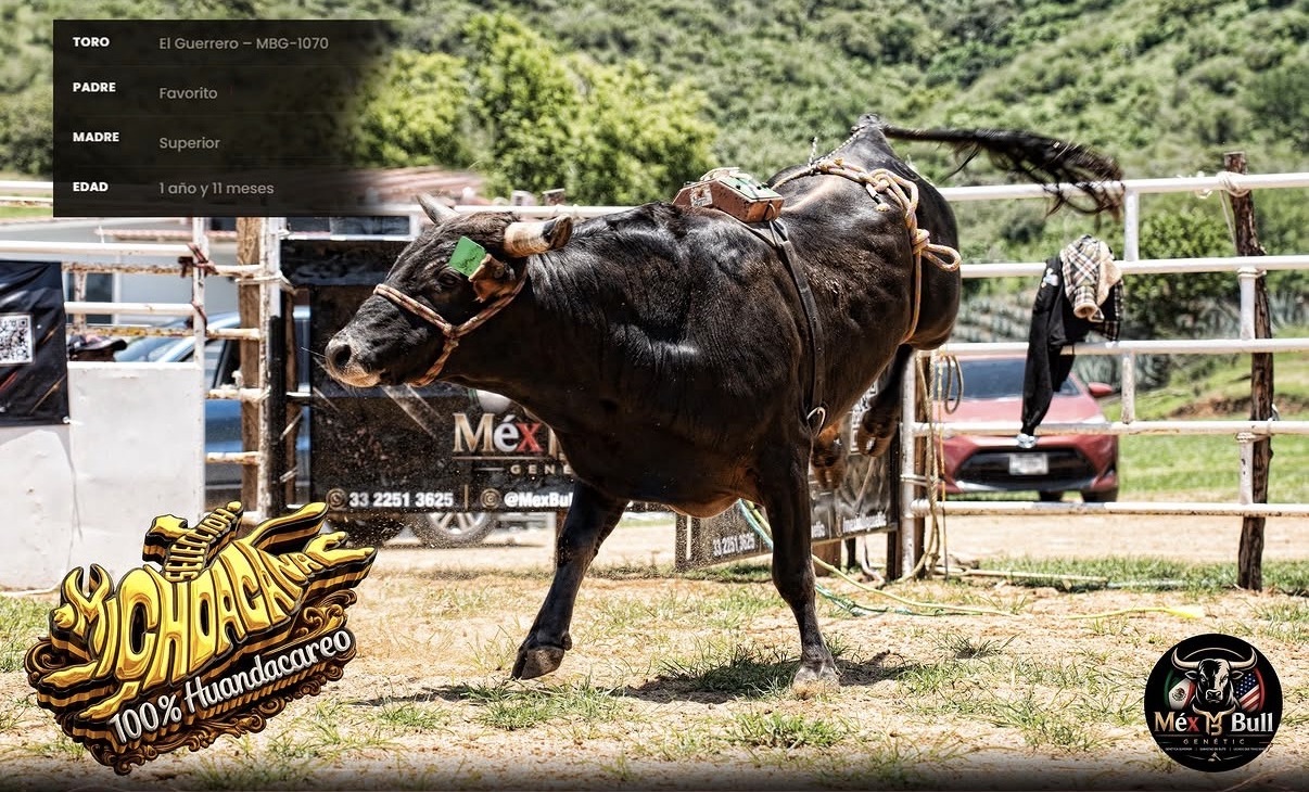 Toro: El Guerrero