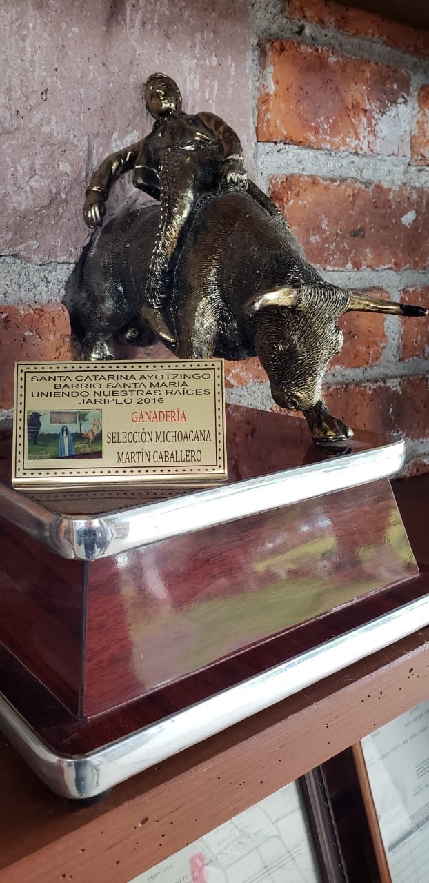 Trofeo de Santa Catarina Ayotzingo, Barrio Santa María, 2016
