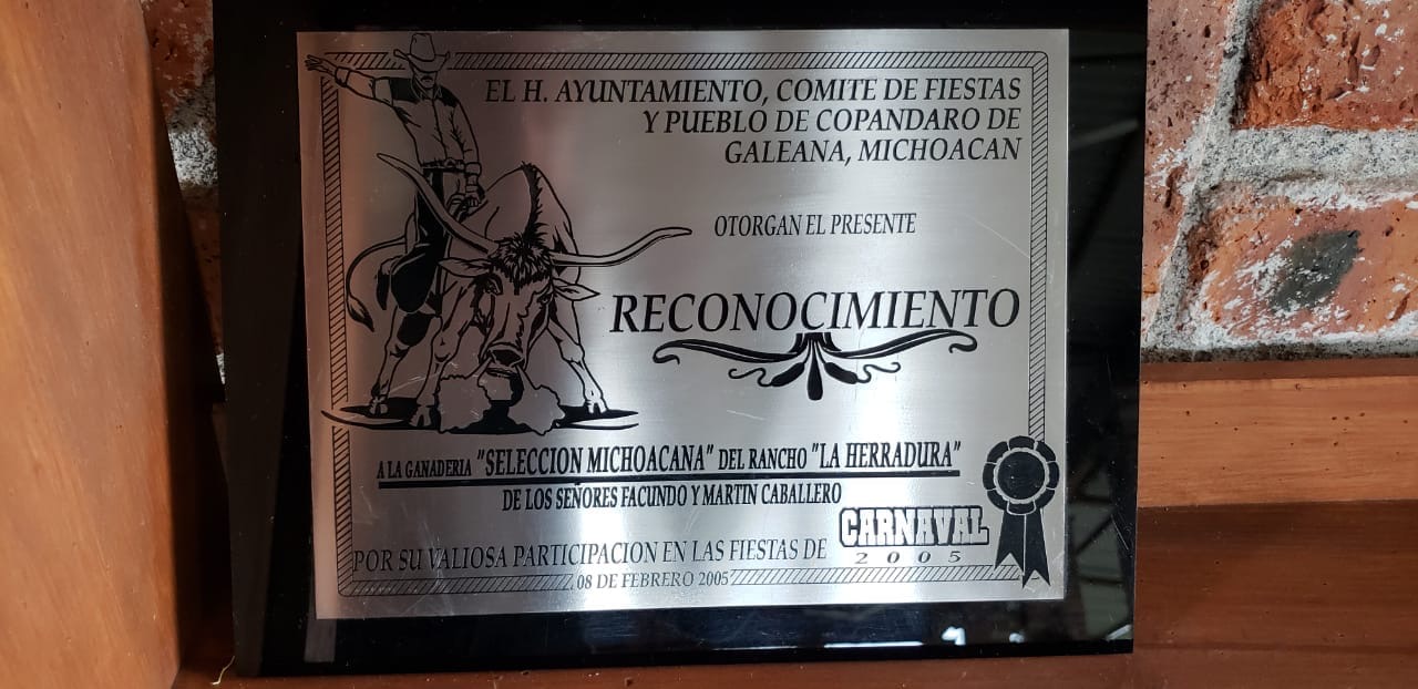 Reconocimiento 2005: placa o trofeo