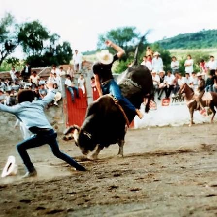 Toro: El Vinagrillo