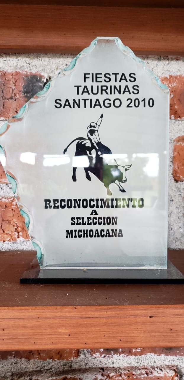 Reconocimiento 2010: placa o trofeo